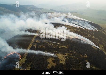 Luftbild der Berggebiete Heather brennen in den Grenzen Region des südlichen Schottland. Stockfoto