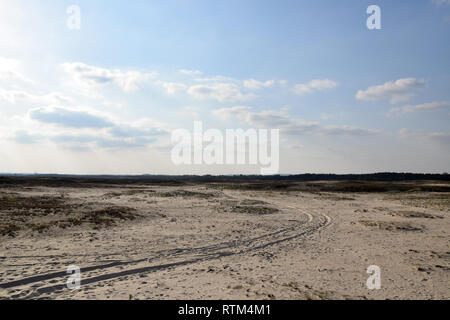 Bledow Wüste (Pustynia Bledowska). Polnisch Dessert zwischen Bledow und die Dörfer von Chechlo und Klucze in Polen. Stockfoto