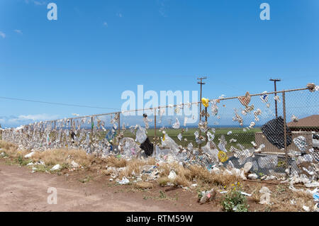 Ökologische Katastrophe im Maui Deponie Stockfoto