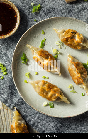 Hausgemachte koreanischen Mandu Schweinefleisch Teigtaschen bereit zu Essen Stockfoto