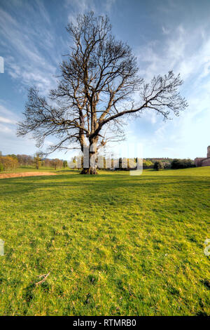 Park, Drumlanrig Castle, Dumfries and Galloway, Schottland, Großbritannien Stockfoto