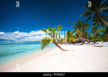 Palmen am weißen Sandstrand in der Karibik, Saona Insel. Dominikanische Republik. Stockfoto