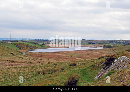 Einen herzförmigen See von grünen Feldern und der Baum in der wunderschönen walisischen Landschaft umgeben. Stockfoto