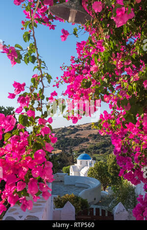 Sommer Blick durch die Blumen mit der kykladischen griechisch-orthodoxen Kirche auf der Insel Paros, Griechenland.