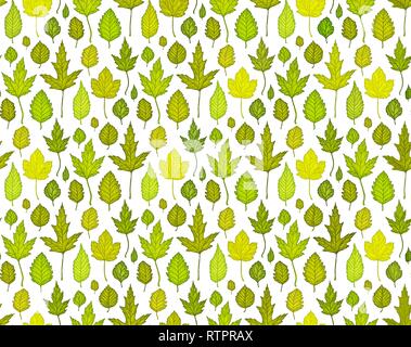 Nahtlose Muster Hintergrund mit grünen Blättern. Vector Illustration Stock Vektor