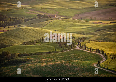 Val d'Orcia, Toskana/Italien - 10. Mai 2016: Landschaft, in den Hügeln der Val d'Orcia. Sonnigen Nachmittag in der Toskana Stockfoto