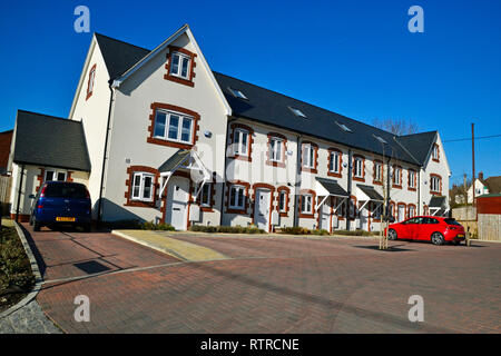 Poppy, Entwicklung des neuen Gehäuses in Princes Risborough, Buckinghamshire, Großbritannien Stockfoto