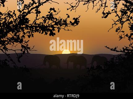 Realistische Darstellung der Silhouetten von drei Elefanten. Sie gehen in der Savanne mit Safran Gras in Afrika. Zweige von Bäumen mit dem Orange Sun i Stock Vektor