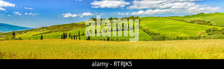 La Foce - Zypressen gesäumten Straße im Val d'Orcia. Panoramablick auf die Landschaft, in den Hügeln der Val d'Orcia mit Zypressen und Weizenfelder, Toskana, Italien Stockfoto