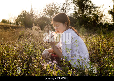Boba Kaffee trinken im Grünland, Abendlicht. Stockfoto