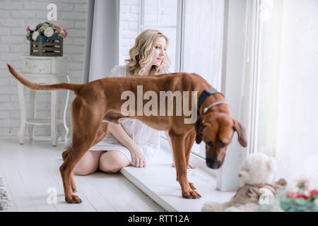 Schwangere junge Frau und ihr Hund sitzt auf der Fensterbank in der Nähe von großes Fenster Stockfoto
