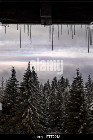 Winter Eiszapfen an einem Fenster mit Blick in den bergwald von einem Skigebiet Stockfoto