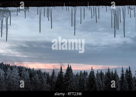 Winter Eiszapfen an einem Fenster mit Blick in den bergwald von einem Skigebiet Stockfoto