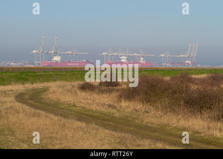 Große Containerschiffe angedockt an der DP World London Gateway Deep-sea Container Terminal von Cliffe Sümpfe in Kent gesehen. Stockfoto