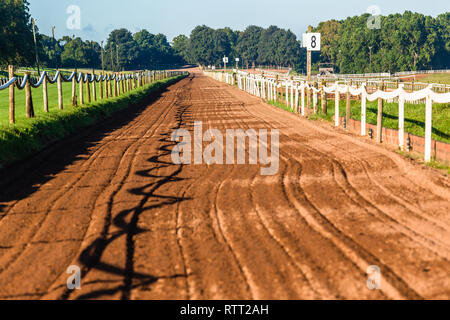 Pferderennen sand Training Schiene Geländer Zaun blue sky Equestrian Landschaft Landschaft. Stockfoto