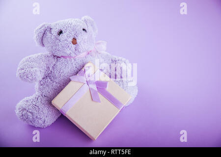 Violett Teddybär mit einer Geschenkbox für Valentines Tag auf lila Hintergrund Stockfoto