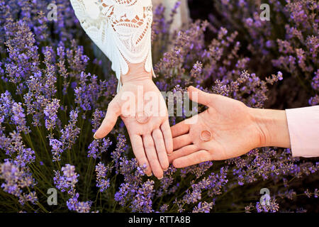 Trauringe auf Hände im Bereich der Lavendel. Stockfoto