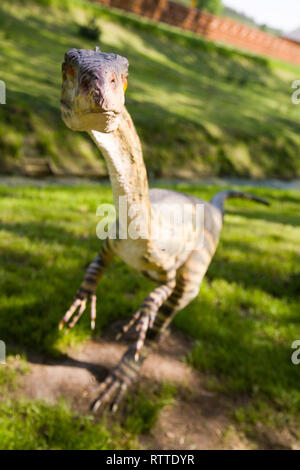 Jurassic Park - Dinosaurier - Coelophysis bauri Stockfoto