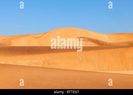 Sanddünen in Dorob Nationalpark in Namibia. Stockfoto