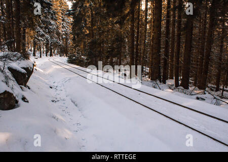 Die Bahn durch Winter wald landschaft, Nationalparks Harz, Deutschland Stockfoto