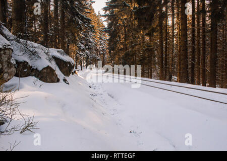 Die Bahn durch Winter wald landschaft, Nationalparks Harz, Deutschland Stockfoto