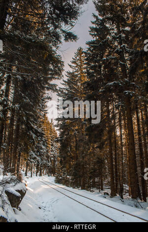 Die Bahn durch Winter wald landschaft, Nationalparks Harz, Deutschland Stockfoto