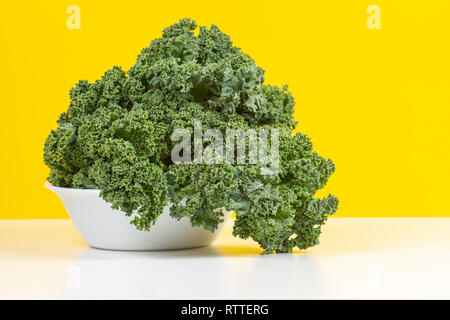 Frische rohe Organic Green Grünkohl, Blätter von Kale auf weißem Schild mit gelbem Hintergrund Stockfoto
