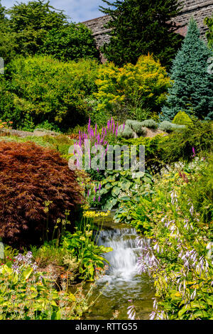 Die stream Garten, Zierbäume und Wasserfall bei Kilver Court Gardens, Shepton Mallet in Somerset, England, Großbritannien Stockfoto