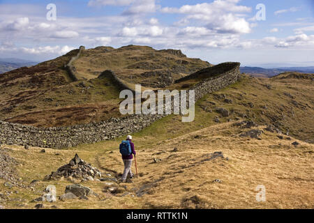 Wandern Sie durch die gewundene Trockenmauer entlang des Wappens von Lingmoor Fell, Cumbria, Großbritannien Stockfoto