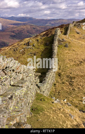 Lange gewundene, trockene Steinmauer nach den Ufern von Lingmoor Fell, Langdale, Lake District, Cumbria, England, UK Stockfoto