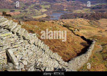 Lange gewundene, trockene Steinmauer auf Lingmoor fiel mit Elterwater Beyond, Langdale, Lake District, Cumbria, England, UK Stockfoto