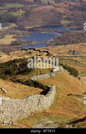 Lange gewundene, trockene Steinmauer auf Lingmoor fiel mit Elterwater Beyond, Langdale, Lake District, Cumbria, England, UK Stockfoto