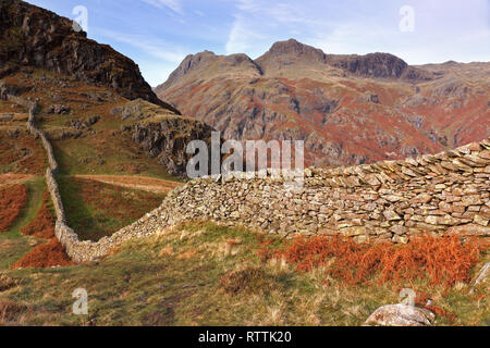 Lange gewundene Trockenmauern mit Langdale Pikes, die sich hinter Lingmoor Fell, Langdale, Lake District, Cumbria, Großbritannien befinden Stockfoto