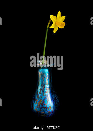 Einzelminiatur helle gelbe Narzisse Blume (Narcissus Tête a Tête) in eine kleine blau grün gemusterten Glas Vase auf schwarzem Hintergrund isoliert. Stockfoto