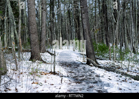 Ein Wanderweg durch das Rachel Carson National Wildlife Refuge in Brunnen, Maine an einem sonnigen Wintertag. Stockfoto