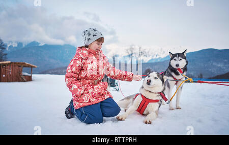 Mädchen mit Hunden im Winter in den Bergen Stockfoto