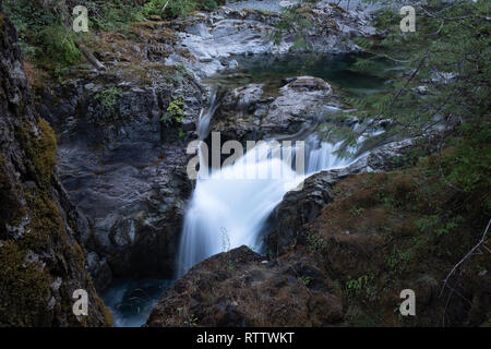 Dame fällt, Wasserfall, Strathcona Provincial Park in der Nähe von Campbell River, British Columbia, Kanada, lange Belichtung zu glätten die Cascading Wasser nehmen Stockfoto