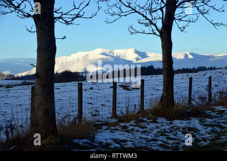 Die Wainwright Blencathra (Saddleback) in der Dämmerung im Winter von einem Layby auf der A 66 im Nationalpark Lake District, Cumbria, England, UK. Stockfoto