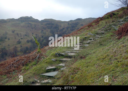 Die Wainwright Arnison Crag von der steinernen Treppe Thornhow Ende der Wainwright Birks in Grisedale, Nationalpark Lake District, Cumbria, England. Stockfoto