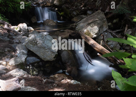 Ein kleiner Wasserfall in Kalkofen State Park, Big Sur Kaskaden durch Felsen in Moos bedeckt, Langzeitbelichtung aus dem Wasser zu glätten Stockfoto