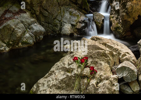 Ein Wasserfall in Kalkofen State Park, Big Sur mit roten Rosen im Vordergrund auf Felsen vor Wasserfall platziert, Langzeitbelichtung, der Wat zu glätten Stockfoto