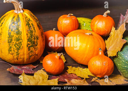Gelber Kürbis Nahaufnahme, noch Leben. Stockfoto