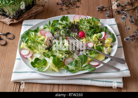 Salat mit Radieschen und frisch gewachsen Brokkoli und Grünkohl microgreens Stockfoto