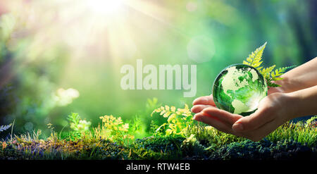 Hände, die Kugel Glas Im grünen Wald - Umwelt Konzept Stockfoto