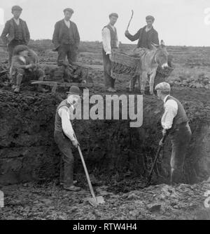 Schneiden und Kartbahn Rasen am Moor in der Nähe von kiltoom County Roscommon 1903 Stockfoto