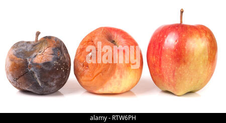 Zwei verfault und eine gute Apple auf weißem Hintergrund Stockfoto