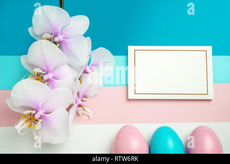 Rosa Blau Ostereier auf pastellfarbenen Hintergrund mit Platz für Text Spitze und Orchid Stockfoto