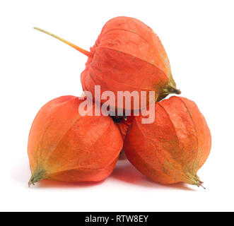 Schale Tomaten oder Physalis auf weißem Hintergrund Stockfoto