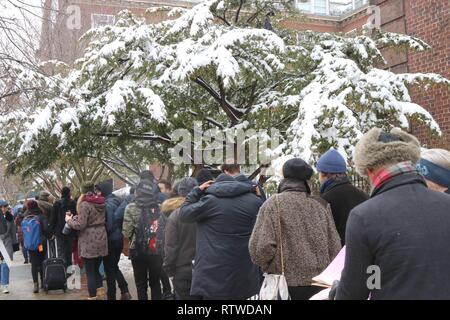 New York, NY, USA. 2. Mar, 2019. Die Rückkehr in seine Heimat Brooklyn, NY Wurzeln am 2. März 2019, Senator Bernie Sanders von Vermont seinen US-Präsidentschaft Angebot 2020 am Brooklyn College - die Nachbarschaft der Schule, die er für ein Jahr vor ihrem Abschluss an der Universität von Chicago im Jahre 1964 besucht. Vor einer großen Menschenmenge der Fans auf einem verschneiten Tag, Sanders sprach von seinen bescheidenen Anfängen im Bereich, dass seine sozialen Bewusstsein gebildet. © 2019 G. Ronald Lopez/DigiPixsAgain. us/Alamy leben Nachrichten Stockfoto