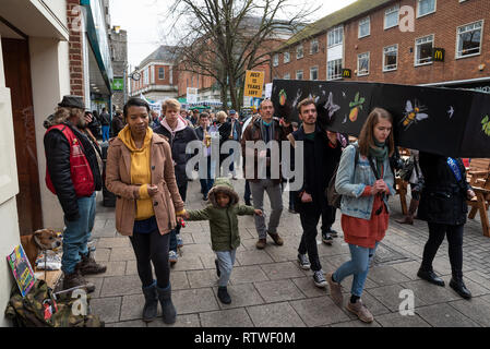 Canterbury, Großbritannien. 23. Februar 2019. Anhänger der Canterbury Aussterben Rebellion Gruppe bilden, im Zentrum der Stadt dann Teil in einem symbolischen Trauerzug, die den Tod von Pflanzen, Tieren, Menschen und der Planeten durch die Klimakrise, Verlust oder das Leben nehmen. Der Protest in einem Schwarm Aktion blockieren St. Peters Platz gipfelte. Die Polizei war anwesend, hat aber nicht gestört, es gab keine Verhaftungen. Credit: Stephen Bell/Alamy leben Nachrichten Stockfoto